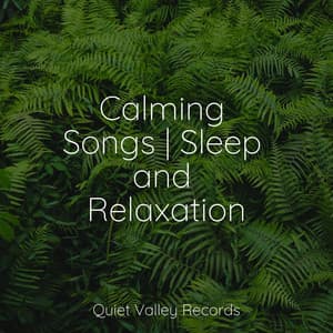 Calming Songs | Sleep and Relaxation - Reiki Tribe