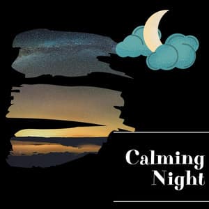 Calming Night Noises for Stress Relief - Night Sounds Channel