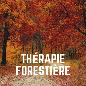Thérapie Forestière - Nature Sounds - Sons de la nature