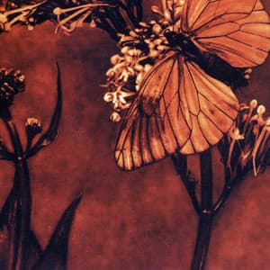 Grand Silence - Orlando