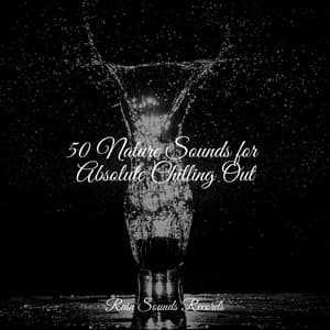 50 Nature Sounds for Absolute Chilling Out - Sons da natureza HD