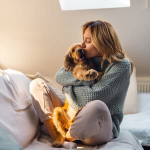 Piano Raindrops: A Pet's Peaceful Coziness - Piano and Rain