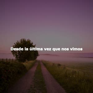 Desde la última vez que nos vimos - Vintage Cafe Playlist