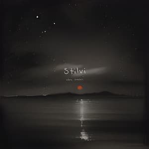 Stilvi - Adam Bokesch