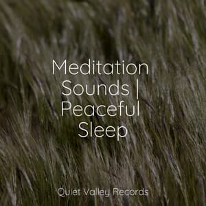 Meditation Sounds | Peaceful Sleep - Echoes Of Nature