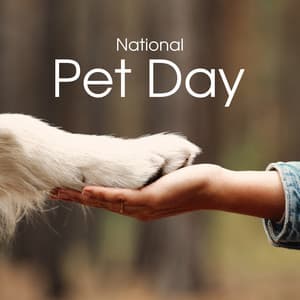 National Pet Day - Pet Relax Academy