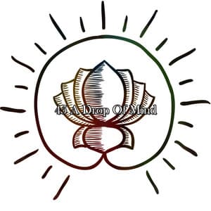 45 A Drop Of Mind - The Yoga Mantra and Chant Music Project