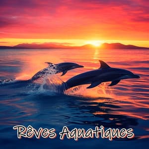 Rêves Aquatiques - My Beats The Rap