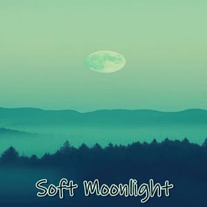 Soft Moonlight - LofiRide