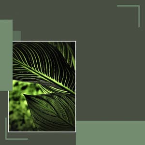 Stellar Jazz Guitar - Ambiance for Spring Rest - Música para Estudiar Playlists