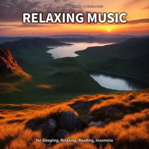 #01 Relaxing Music for Sleeping, Relaxing, Reading, Insomnia - Wellness
