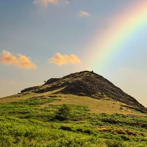 New Way to Relax - Best Relaxation Music