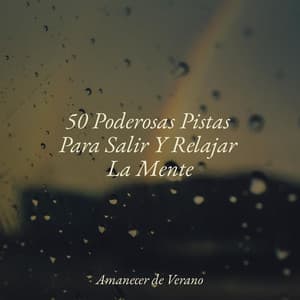 50 Poderosas Pistas Para Salir Y Relajar La Mente - Relajación
