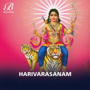Harivarasanam - Rajkumar Bharathi