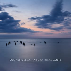 Suono della Natura Rilassante per il Livello di Stress Zero: Musica per la Guarigione - Musica Relax Academia