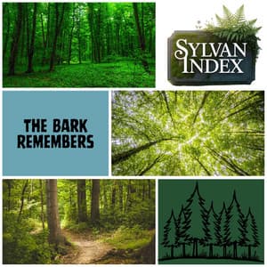 The Bark Remembers - Sylvan Index