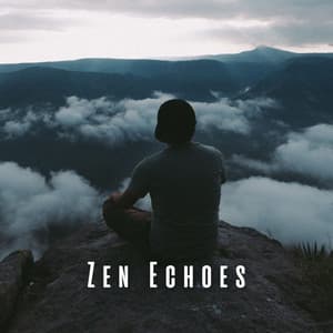 Zen Echoes: Ambient Sounds for Lofi Meditation - lofi