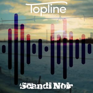 Topline Collections: Scandi Noir - Dave Cooke