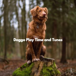 Doggo Play Time and Tunes - Music for Pets Playlist