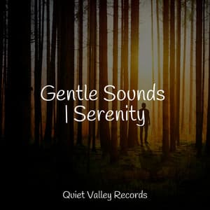 Gentle Sounds | Serenity - Rain Sounds Factory STHLM