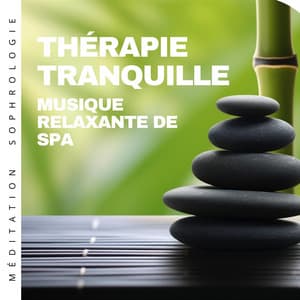 Thérapie tranquille: Musique relaxante de spa - Méditation Sophrologie