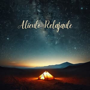 Aliento Relajante: Relajación y Meditación del Sueño Profundo - Relajante Academia de Música Zen