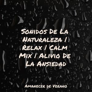 Sonidos De La Naturaleza | Relax | Calm Mix | Alivio De La Ansiedad - Musica Relajante