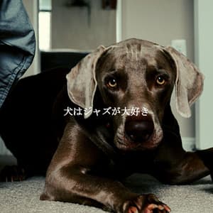 犬はジャズが大好き - Dining Music