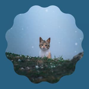 Magical Quartet Jazz - Ambiance for Favorite Kittens - Soothing Cat Music