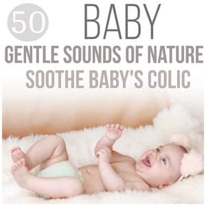 Baby: 50 Gentle Sounds of Nature - Healing Songs for Baby Calm, Music Therapy for Colic Baby and Body Serenity, Soothing Music for Sleep - Relax Toddlers Zone