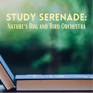 Study Serenade: Nature's Bug and Bird Orchestra - Nature Therapy