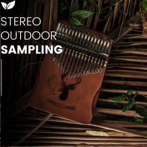 Echoes of the Wild Stereo Soundscapes from Nature - rainstantly