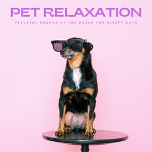Pet Relaxation: Peaceful Sounds Of The Ocean For Sleepy Cats - Relaxcation