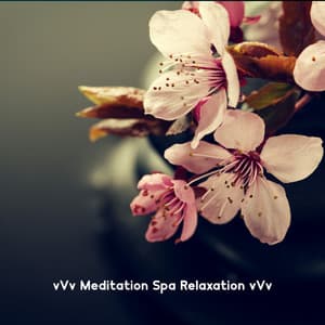 vVv Meditation Spa Relaxation vVv - Alicia Bliss