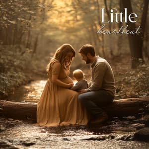 Soft Rainfall - Womb Sounds Heartbeat