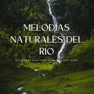 Melodías Naturales Del Río: Sonidos De Agua Para La Naturaleza - Balneario de agua