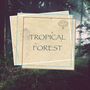 Tropical Forest - Factorial FX