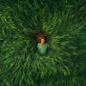 Plume de Nuages Sucrés - Lullabies for Deep Sleep