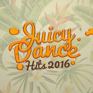 Juicy Dance Hits 2016 - Dance Hits 2014 & Dance Hits 2015