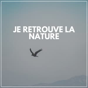 Je Retrouve La Nature - Oasis de Musique Nature Relaxante