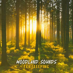Woodland Sounds for Sleeping - Easy Sleep Music