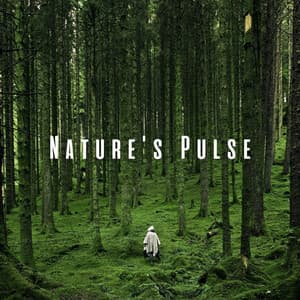 Nature's Pulse: Binaural Nature Music for Sharp Focus - Call Of Nature