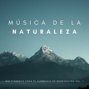 Música De La Naturaleza: Sueños De Las Corrientes Vol. 1 - Música para Concentrarse Radio