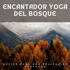 Encantador Yoga del Bosque: Música para una Relajación Profunda - Tesoros del bosque
