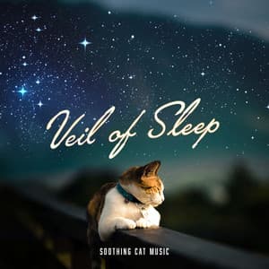 Veil of Sleep - Soothing Cat Music