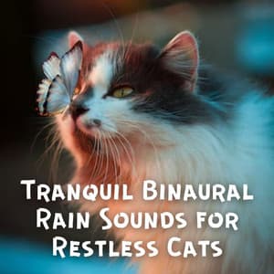 Tranquil Binaural Rain Sounds for Restless Cats - Binaural Beats Relaxation