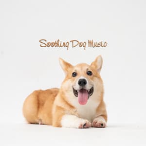 Soothing Dog Music - Soothing Dog Sounds