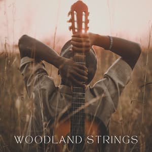 Woodland Strings - Spanish Guitar