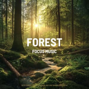 Deep Forest Study: Tranquil Nature Sounds for Focus - Focus Music