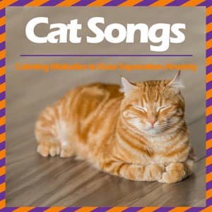 Cat Songs - Calming Melodies to Ease Separation Anxiety - RelaxMyCat